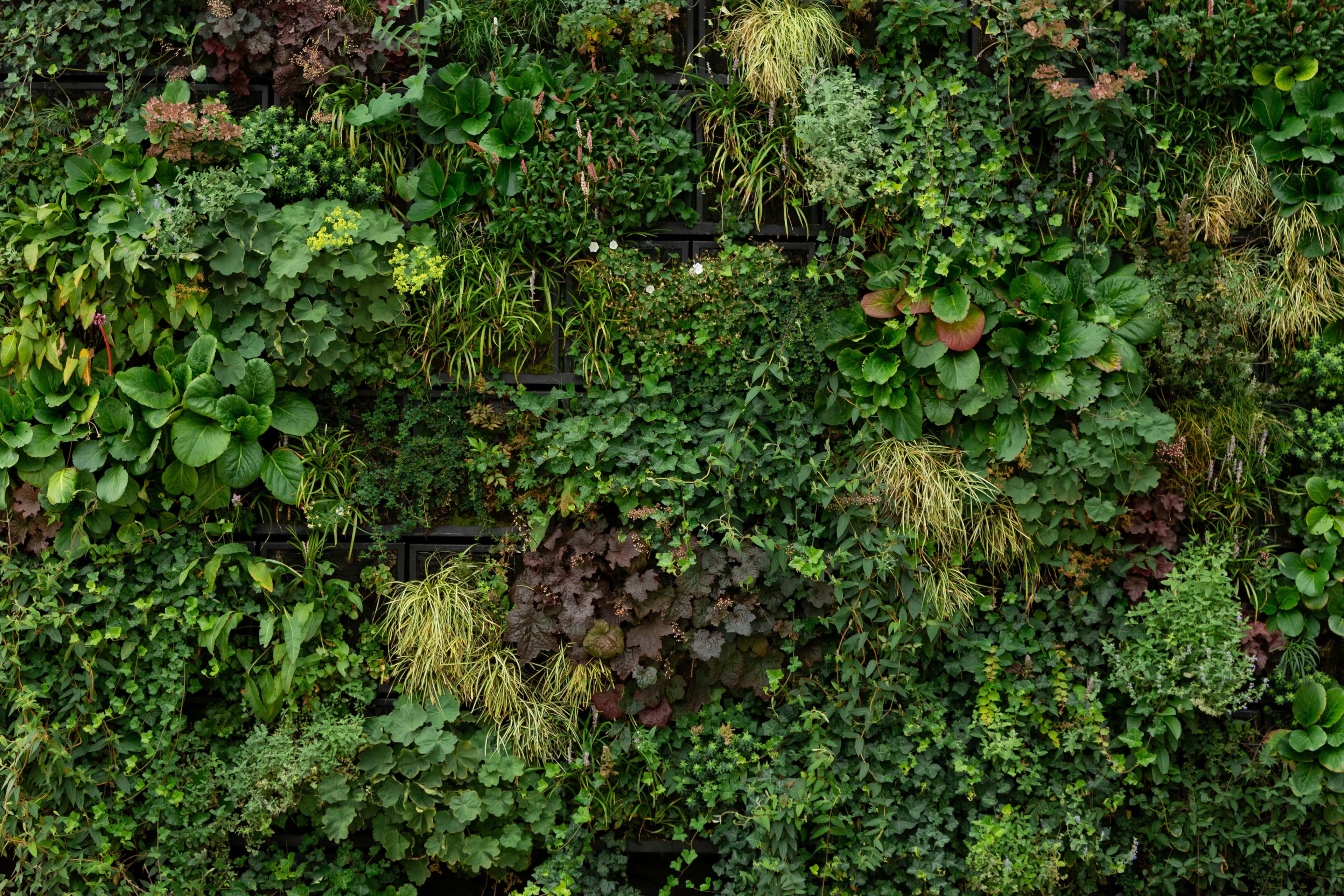 Green-wall monitoring